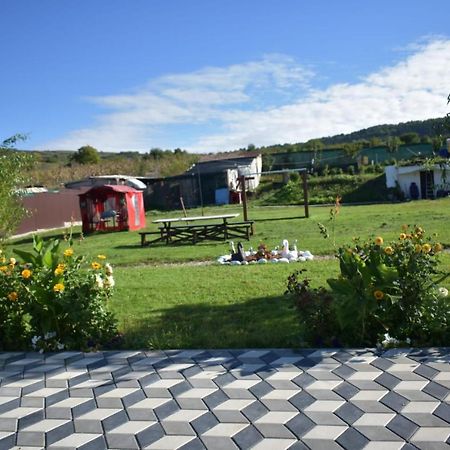 קלוז'-נאפוקה Bbs Residence מראה חיצוני תמונה