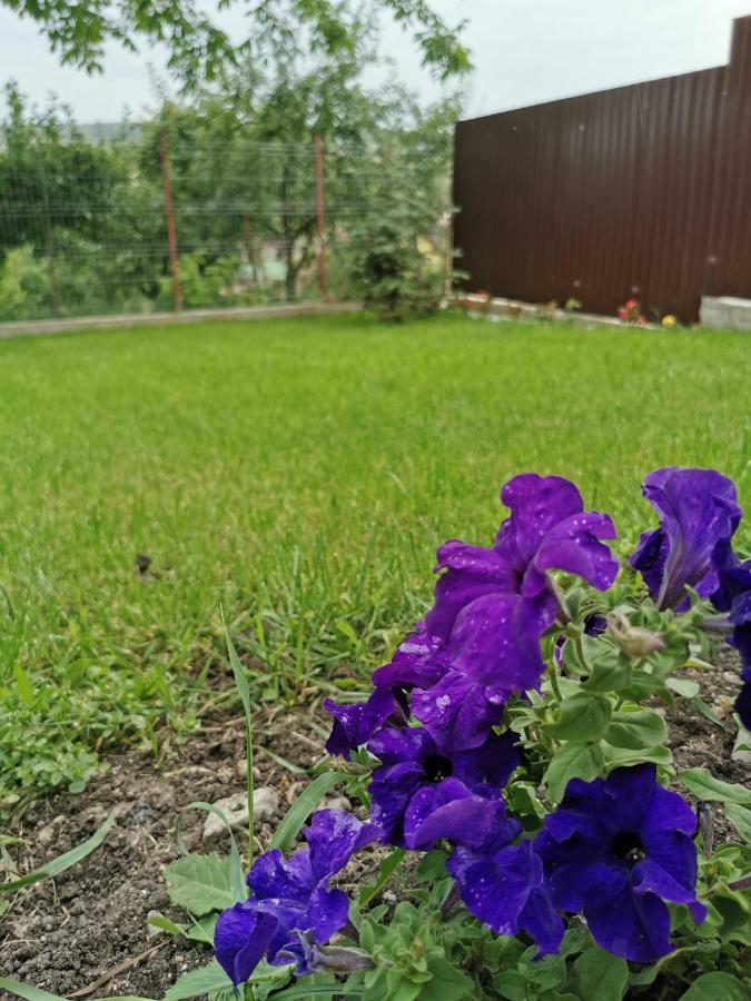 קלוז'-נאפוקה Bbs Residence מראה חיצוני תמונה