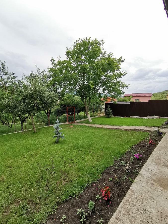 קלוז'-נאפוקה Bbs Residence מראה חיצוני תמונה
